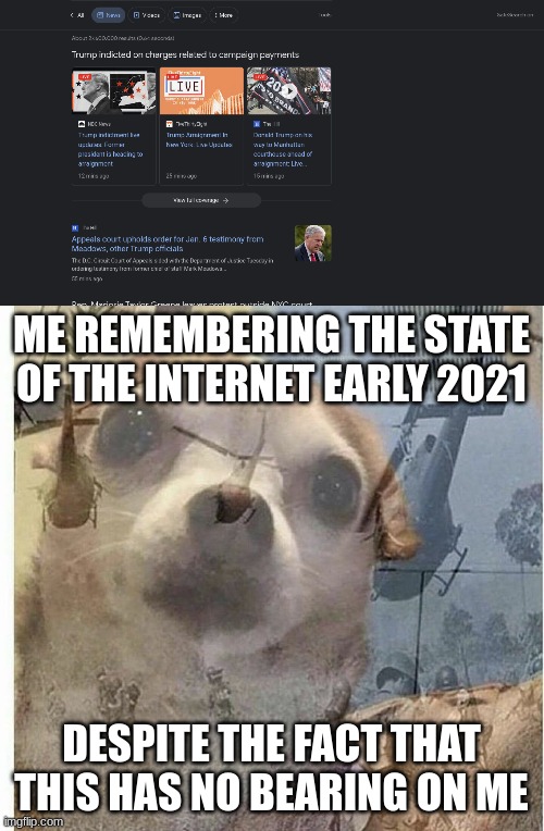 PLZ DONT RIOT/BREAK INTO YOUR CAPITOL(my news feed can't take it) | ME REMEMBERING THE STATE OF THE INTERNET EARLY 2021; DESPITE THE FACT THAT THIS HAS NO BEARING ON ME | image tagged in ptsd chihuahua,memes | made w/ Imgflip meme maker