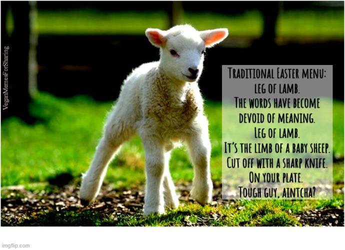 Eating Babies is Wrong | image tagged in vegan,veganism,meat,roastlamb,pork,chicken | made w/ Imgflip meme maker