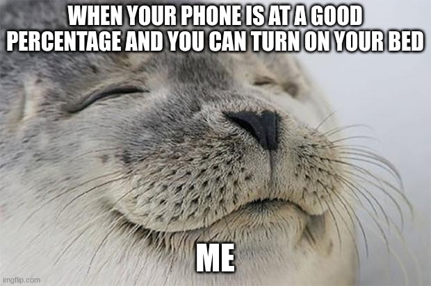 Satisfied Seal Meme | WHEN YOUR PHONE IS AT A GOOD PERCENTAGE AND YOU CAN TURN ON YOUR BED; ME | image tagged in memes,satisfied seal | made w/ Imgflip meme maker
