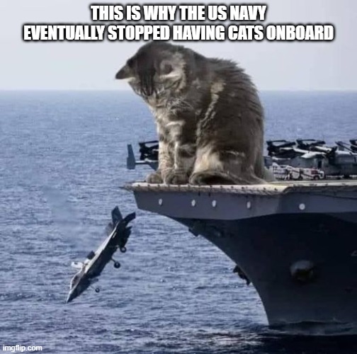 This is why the US Navy eventually stopped having cats onboard | THIS IS WHY THE US NAVY EVENTUALLY STOPPED HAVING CATS ONBOARD | image tagged in cats,navy | made w/ Imgflip meme maker