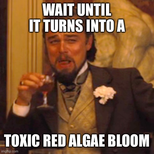 Laughing Leo Meme | WAIT UNTIL IT TURNS INTO A TOXIC RED ALGAE BLOOM | image tagged in memes,laughing leo | made w/ Imgflip meme maker