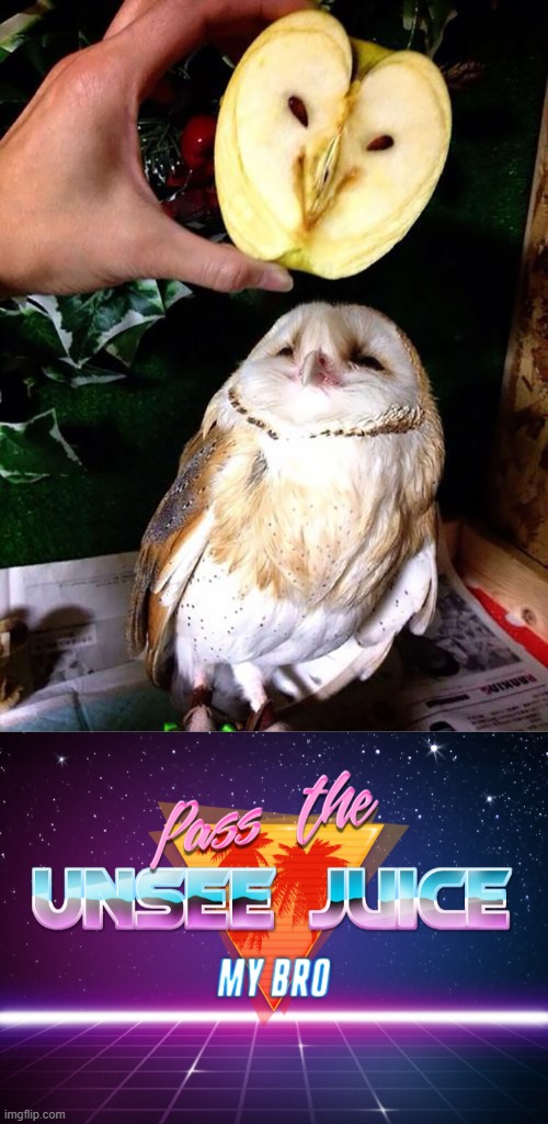 Apple Looks Like Owl | image tagged in pass the unsee juice my bro,can't unsee,memes,unsee juice | made w/ Imgflip meme maker