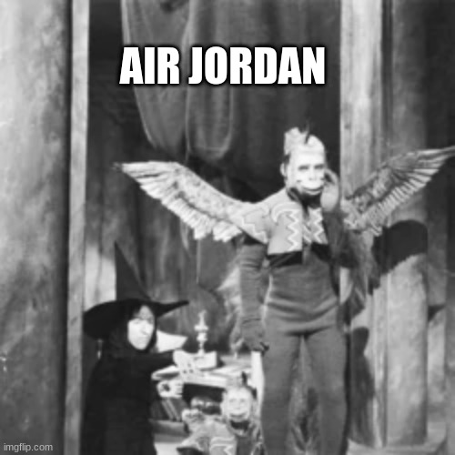Ooh ooh aah aah | AIR JORDAN | image tagged in racist | made w/ Imgflip meme maker