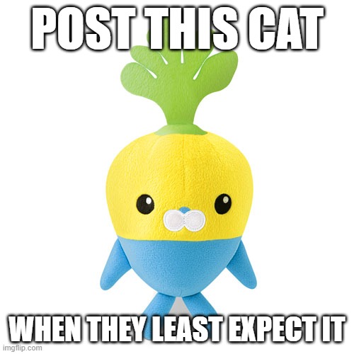 POST THIS CAT; WHEN THEY LEAST EXPECT IT | image tagged in tunip plush | made w/ Imgflip meme maker