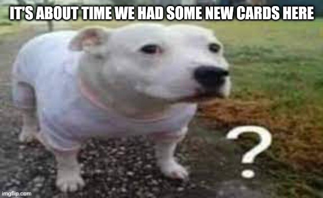 Dog question mark | IT'S ABOUT TIME WE HAD SOME NEW CARDS HERE | image tagged in dog question mark | made w/ Imgflip meme maker