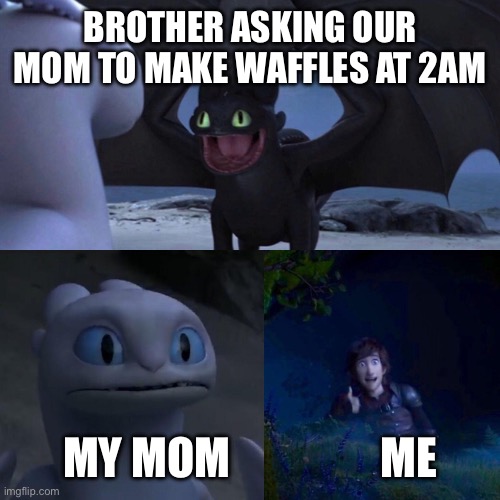 night fury | BROTHER ASKING OUR MOM TO MAKE WAFFLES AT 2AM; MY MOM                 ME | image tagged in night fury | made w/ Imgflip meme maker
