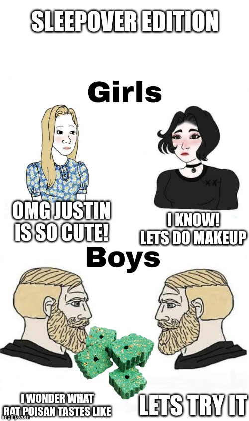 boys want to know what everything smells and tastes like. | SLEEPOVER EDITION; OMG JUSTIN IS SO CUTE! I KNOW! LETS DO MAKEUP; LETS TRY IT; I WONDER WHAT RAT POISAN TASTES LIKE | image tagged in girls vs boys,true,funny | made w/ Imgflip meme maker