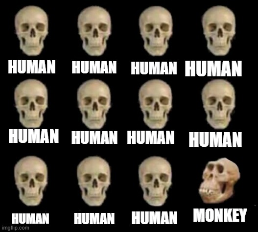 I don't know why I spent 5 minutes doing this | HUMAN; HUMAN; HUMAN; HUMAN; HUMAN; HUMAN; HUMAN; HUMAN; MONKEY; HUMAN; HUMAN; HUMAN | image tagged in idiot skull | made w/ Imgflip meme maker