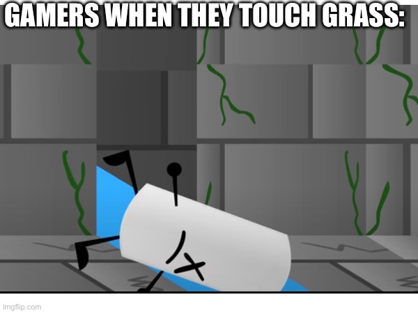 GAMERS WHEN THEY TOUCH GRASS: | image tagged in memes,extraordinary excellent entities,shitpost,wth | made w/ Imgflip meme maker