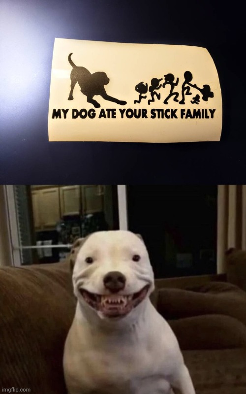 Woof, woof delicious stick family | image tagged in hehe,dog,stick family,memes,dark humor,ate | made w/ Imgflip meme maker
