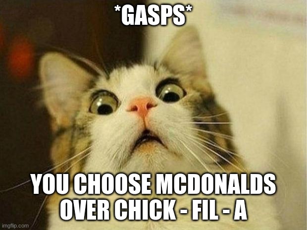 Chick fil a | *GASPS*; YOU CHOOSE MCDONALDS OVER CHICK - FIL - A | image tagged in memes,scared cat | made w/ Imgflip meme maker