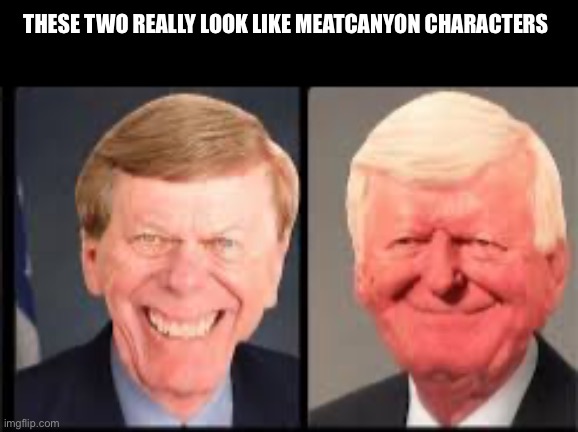I’d like to see more “meatcanyon” memes in chat | THESE TWO REALLY LOOK LIKE MEATCANYON CHARACTERS | image tagged in meat | made w/ Imgflip meme maker