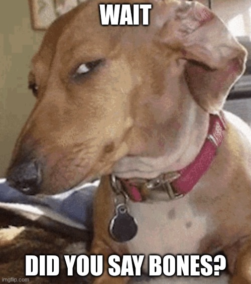 Side eye dog | WAIT; DID YOU SAY BONES? | image tagged in side eye dog | made w/ Imgflip meme maker