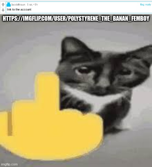 https://imgflip.com/user/polystyrene_the_banan_femboy | HTTPS://IMGFLIP.COM/USER/POLYSTYRENE_THE_BANAN_FEMBOY | made w/ Imgflip meme maker