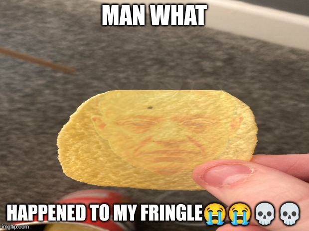 Gustavo Fringle | MAN WHAT; HAPPENED TO MY FRINGLE😭😭💀💀 | image tagged in fun,new | made w/ Imgflip meme maker