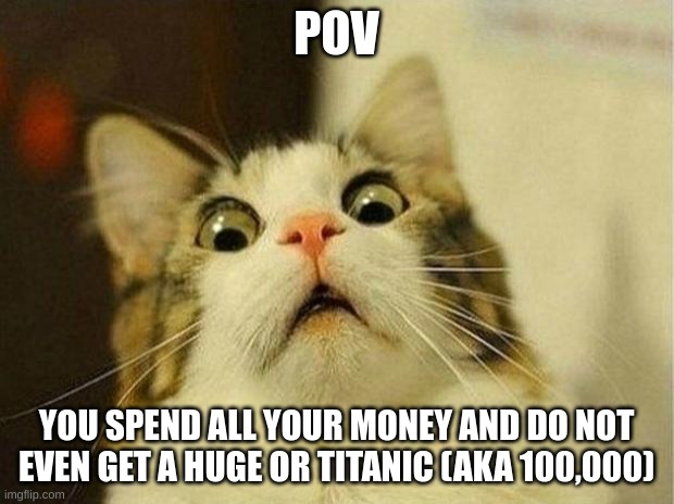 Scared Cat | POV; YOU SPEND ALL YOUR MONEY AND DO NOT EVEN GET A HUGE OR TITANIC (AKA 100,000) | image tagged in memes,scared cat | made w/ Imgflip meme maker