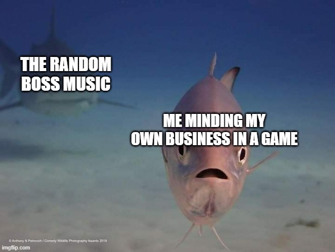 Uh oh | THE RANDOM BOSS MUSIC; ME MINDING MY OWN BUSINESS IN A GAME | image tagged in fish with shark | made w/ Imgflip meme maker