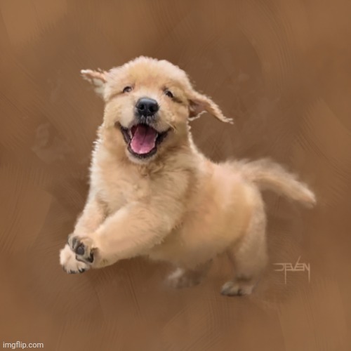 Happy Pupper Face | image tagged in happy pupper face | made w/ Imgflip meme maker