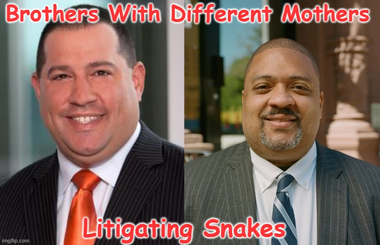 Litigating Snakes David Strassburger | Brothers With Different Mothers; Litigating Snakes | image tagged in funny | made w/ Imgflip meme maker