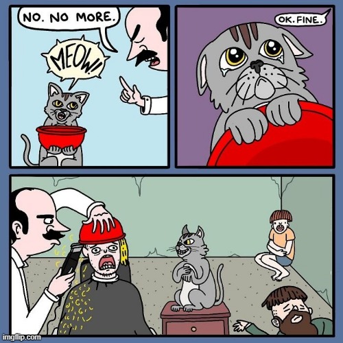 Devious Cat | image tagged in comics | made w/ Imgflip meme maker