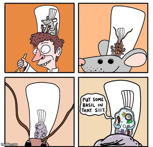 Ratatouille? | image tagged in comics | made w/ Imgflip meme maker