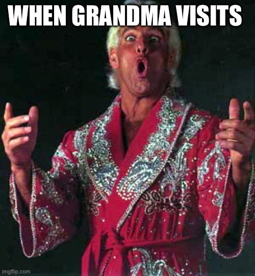 Nature Boy Rick Flair  | WHEN GRANDMA VISITS | image tagged in nature boy rick flair | made w/ Imgflip meme maker