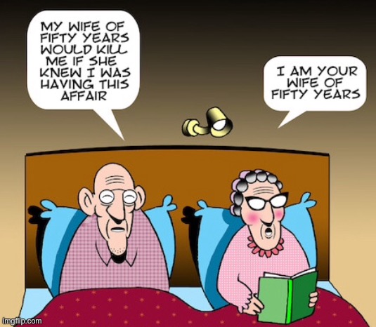 Wife would kill me | image tagged in wife of 50 years,kill me if she found out,having affair,i am wife,50 years,comics | made w/ Imgflip meme maker