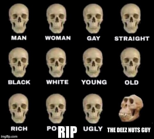 Idk | THE DEEZ NUTS GUY; RIP | image tagged in idiot skull | made w/ Imgflip meme maker