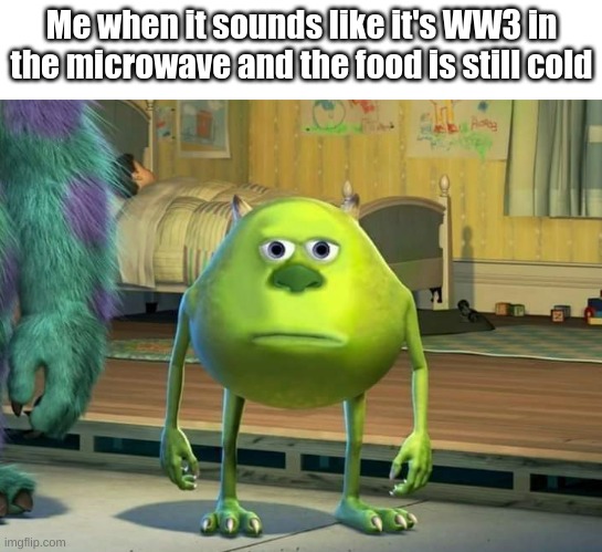 BRUH | Me when it sounds like it's WW3 in the microwave and the food is still cold | image tagged in mike wazowski bruh | made w/ Imgflip meme maker