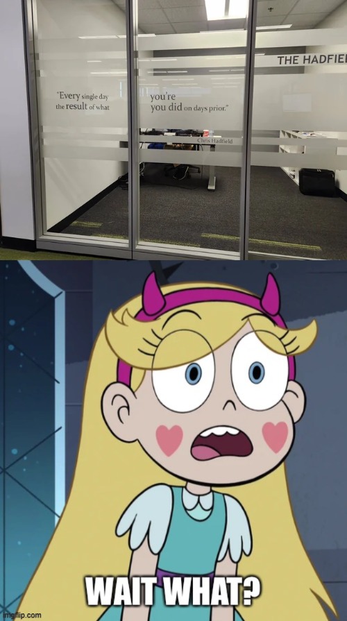 The result of what? | image tagged in star butterfly wait what,star vs the forces of evil,you had one job,memes | made w/ Imgflip meme maker