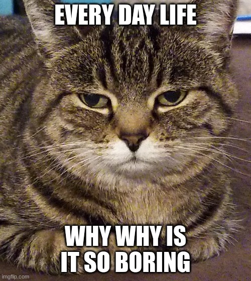 Unimpressed | EVERY DAY LIFE; WHY WHY IS IT SO BORING | image tagged in unimpressed | made w/ Imgflip meme maker