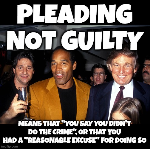 " PLEADING NOT GUILTY " - 71543-23 | PLEADING NOT GUILTY; MEANS THAT "YOU SAY YOU DIDN'T DO THE CRIME", OR THAT YOU HAD A "REASONABLE EXCUSE" FOR DOING SO | image tagged in plea,verdict,offense,criminal,justice,court | made w/ Imgflip meme maker