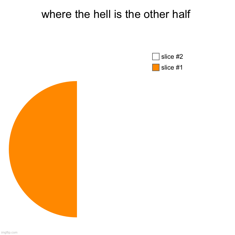 where the hell is the other half | | image tagged in charts,pie charts | made w/ Imgflip chart maker