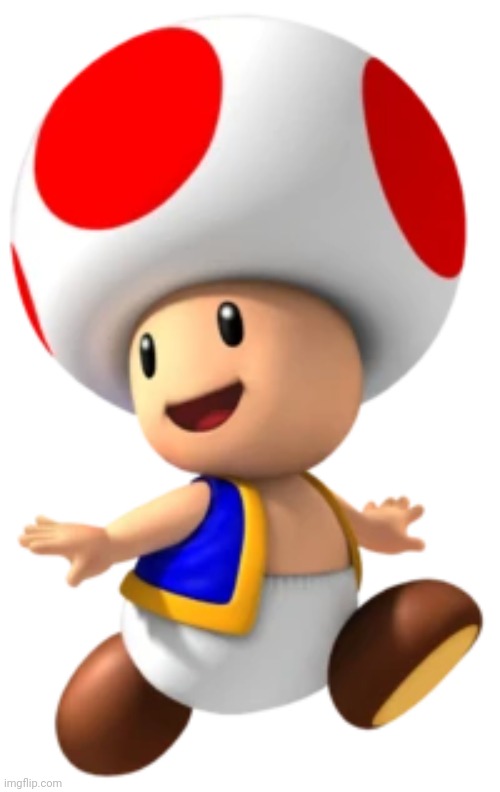 Toad Mario toadstool | image tagged in toad mario toadstool | made w/ Imgflip meme maker