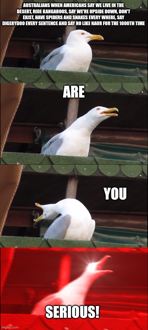 Inhaling Seagull Meme | AUSTRALIANS WHEN AMERICANS SAY WE LIVE IN THE DESERT, RIDE KANGAROOS, SAY WE'RE UPSIDE DOWN, DON'T EXIST, HAVE SPIDERS AND SNAKES EVERY WHERE, SAY DIGERYDOO EVERY SENTENCE AND SAY NO LIKE NAUR FOR THE 1000TH TIME; ARE; YOU; SERIOUS! | image tagged in memes,inhaling seagull | made w/ Imgflip meme maker