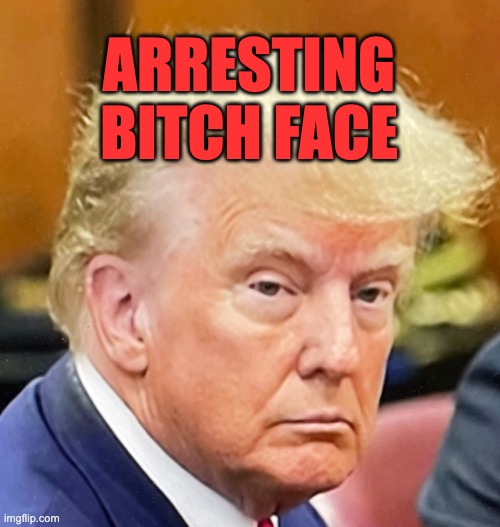 ARRESTING
BITCH FACE | made w/ Imgflip meme maker