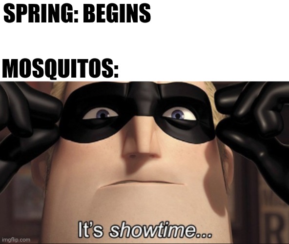 Its that year again | SPRING: BEGINS; MOSQUITOS: | image tagged in it's showtime | made w/ Imgflip meme maker
