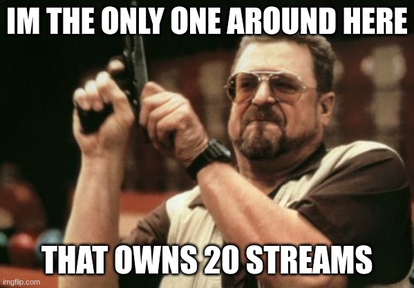 am I wrong? | IM THE ONLY ONE AROUND HERE; THAT OWNS 20 STREAMS | image tagged in memes,am i the only one around here | made w/ Imgflip meme maker