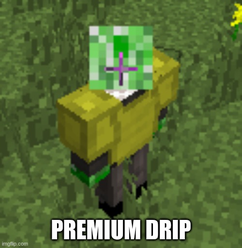 Yeah cause i got that premium dyed leather drip | PREMIUM DRIP | image tagged in minecraft,drip,premium,memes,minecraft memes | made w/ Imgflip meme maker
