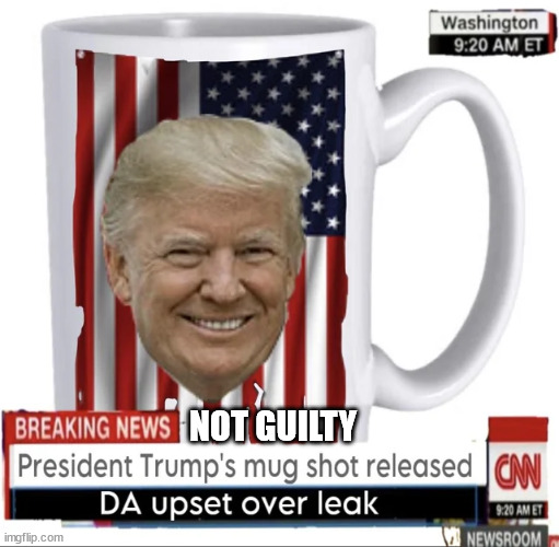 NOT GUILTY | made w/ Imgflip meme maker