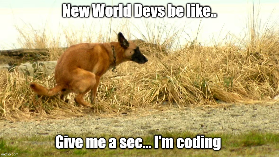 New World Devs | New World Devs be like.. Give me a sec... I'm coding | image tagged in coding | made w/ Imgflip meme maker