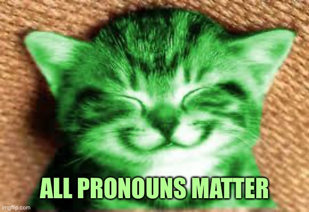 happy RayCat | ALL PRONOUNS MATTER | image tagged in happy raycat | made w/ Imgflip meme maker