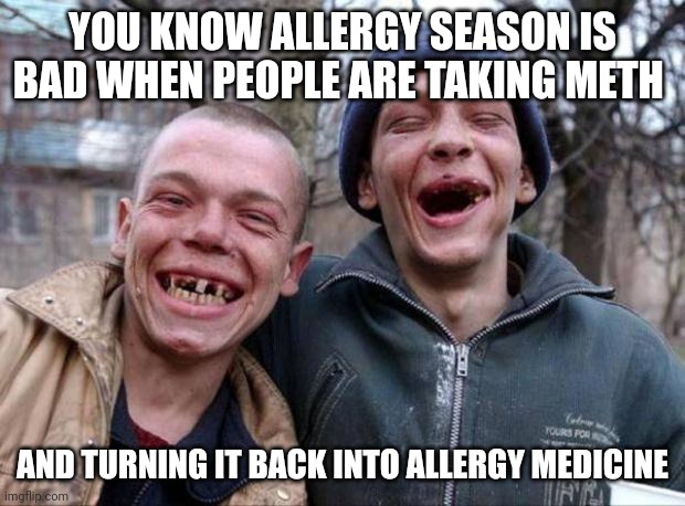 Allergy meth | YOU KNOW ALLERGY SEASON IS BAD WHEN PEOPLE ARE TAKING METH; AND TURNING IT BACK INTO ALLERGY MEDICINE | image tagged in no teeth | made w/ Imgflip meme maker