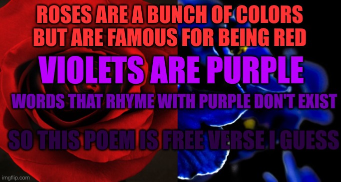 I wrote a humor poem! | ROSES ARE A BUNCH OF COLORS BUT ARE FAMOUS FOR BEING RED; VIOLETS ARE PURPLE; WORDS THAT RHYME WITH PURPLE DON'T EXIST; SO THIS POEM IS FREE VERSE I GUESS | image tagged in roses are red violets are blue,poetry | made w/ Imgflip meme maker