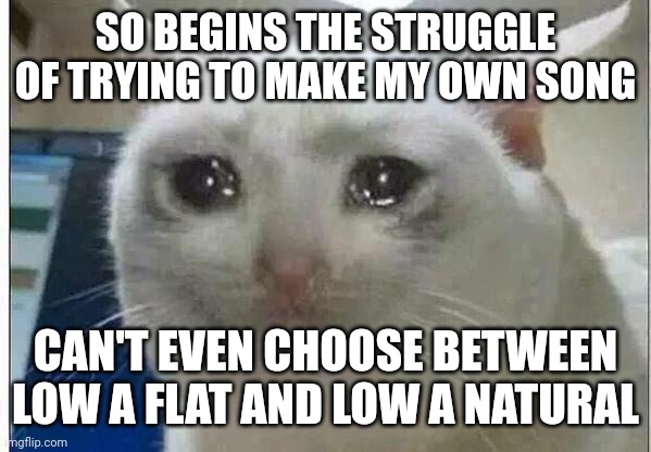 *cry* | SO BEGINS THE STRUGGLE OF TRYING TO MAKE MY OWN SONG; CAN'T EVEN CHOOSE BETWEEN LOW A FLAT AND LOW A NATURAL | made w/ Imgflip meme maker