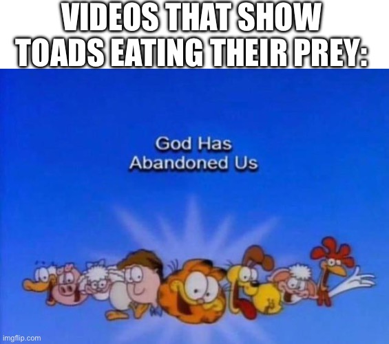 Never watch those videos, NEVER! | VIDEOS THAT SHOW TOADS EATING THEIR PREY: | image tagged in garfield god has abandoned us | made w/ Imgflip meme maker