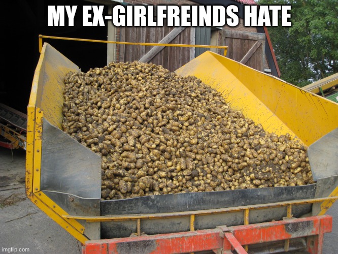 Truckload of potatoes  | MY EX-GIRLFREINDS HATE | image tagged in truckload of potatoes | made w/ Imgflip meme maker