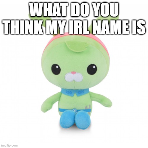 da gorl | WHAT DO YOU THINK MY IRL NAME IS | image tagged in da gorl | made w/ Imgflip meme maker