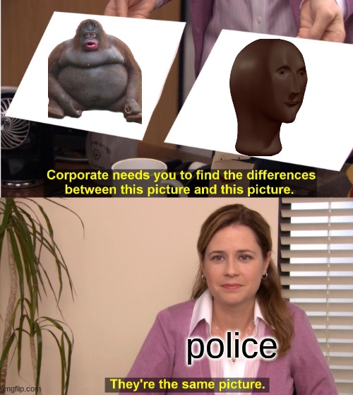 definitely not racism | police | image tagged in memes,they're the same picture | made w/ Imgflip meme maker