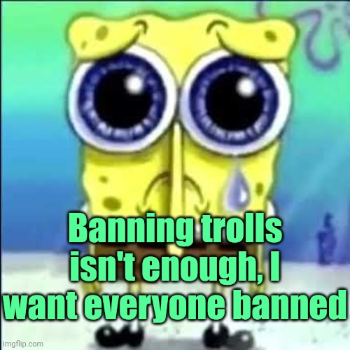 Sad Spongebob | Banning trolls isn't enough, I want everyone banned | image tagged in sad spongebob | made w/ Imgflip meme maker